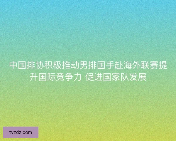 中国排协积极推动男排国手赴海外联赛提升国际竞争力 促进国家队发展
